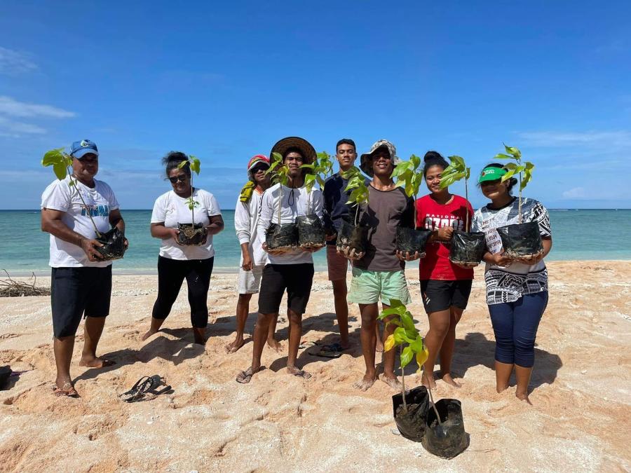 tree planting activity